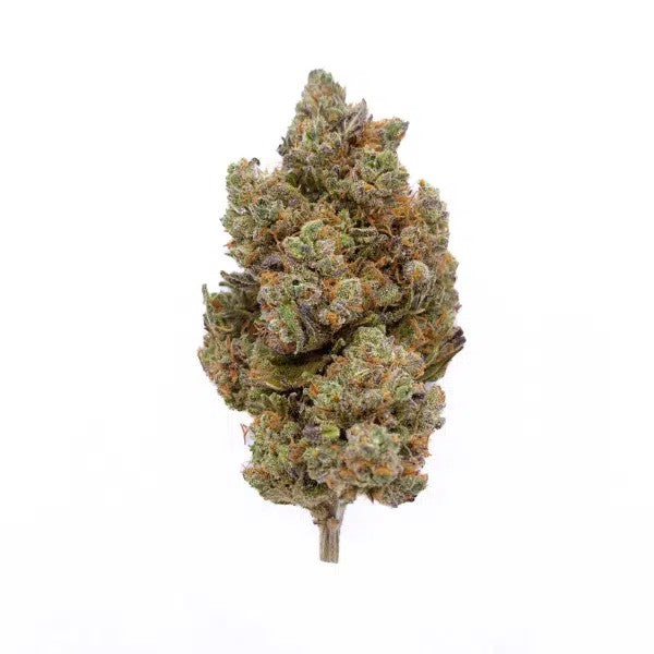 Blackberry kush - Indoor Hydro
