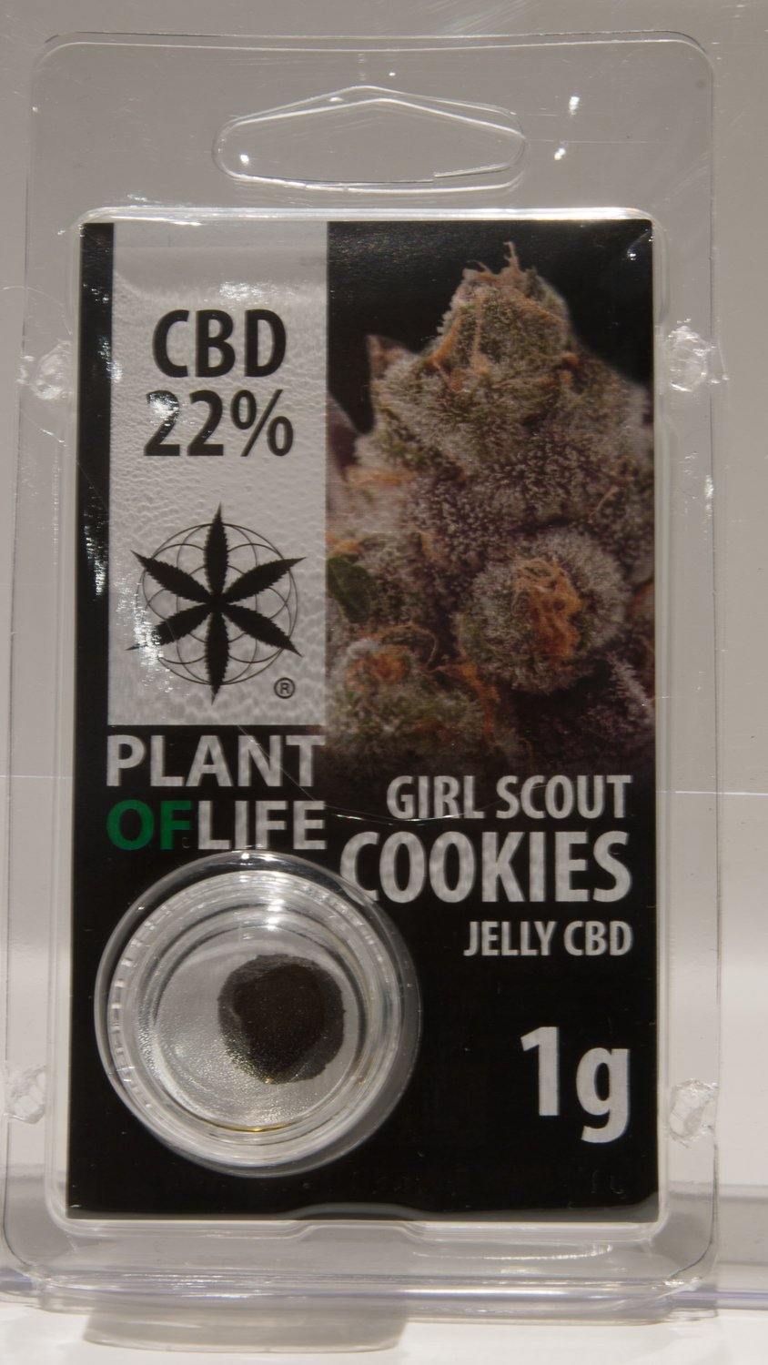 Hash gras Girl Scout Cookie 22% 1g - Noïde